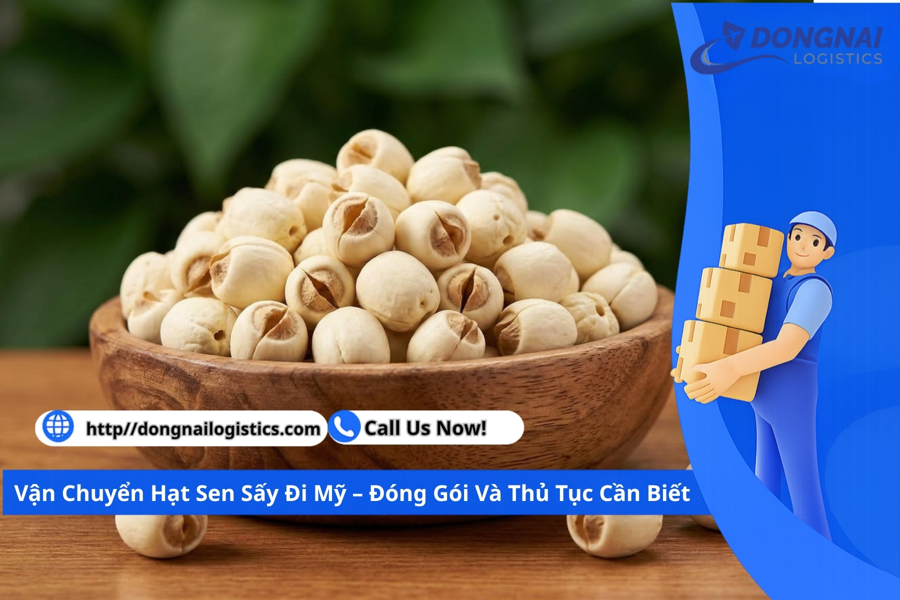 Vận Chuyển Hạt Sen Sấy Đi Châu Âu – Đóng Gói Và Thủ Tục Cần Biết